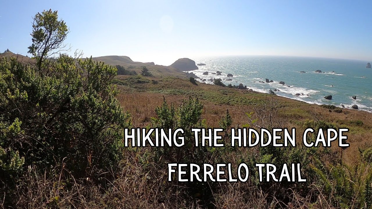 Hiking the Hidden Cape Ferrelo Trail on the Oregon Coast - PNW Adventures 2023