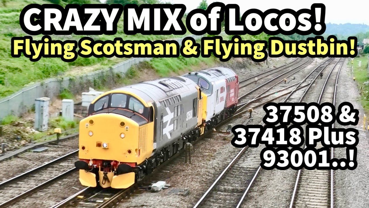 CRAZY Loco MIX..! Flying Scotsman & Flying Dustbin! 37608, 93001, 37508/37418 Plus 56113..! 20/05/24