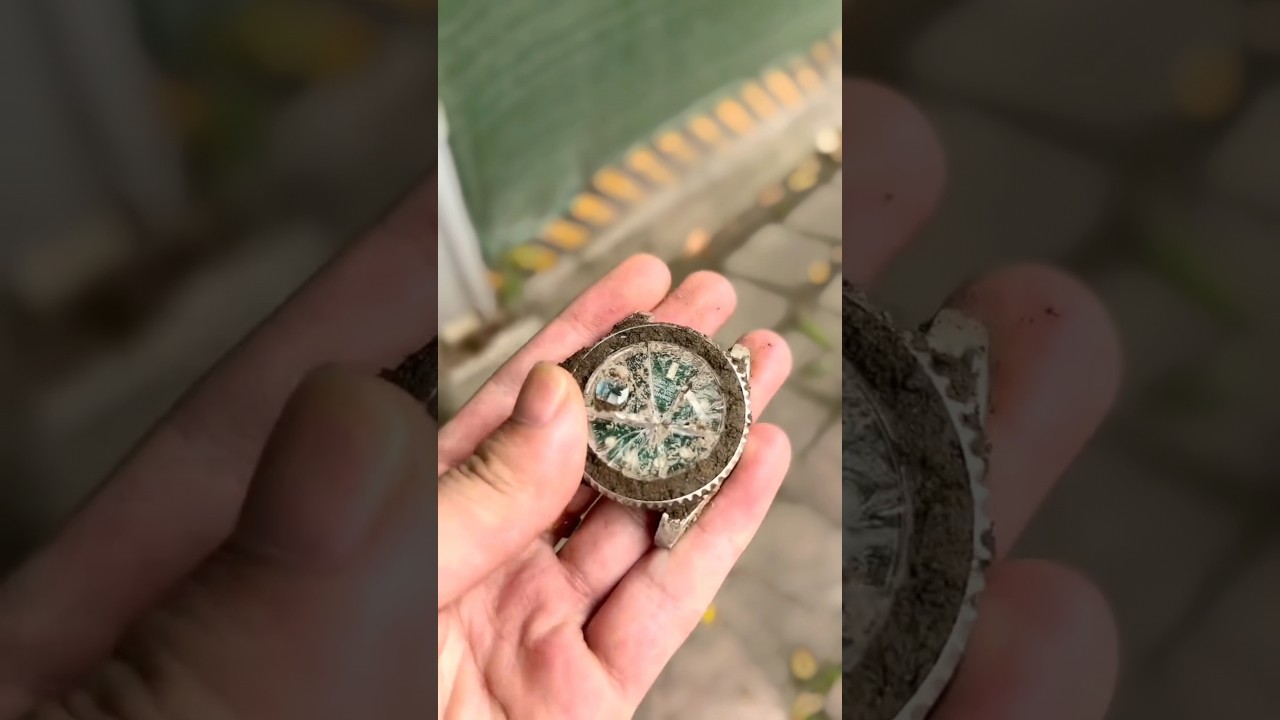 Restoring Old Rolex Watch #watchrestoration ##wristwatch #restoration #shorts