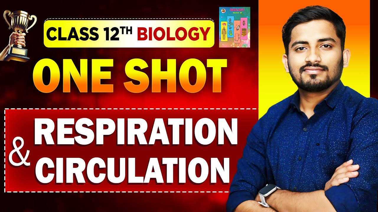 One Shot Lecture Ch8) Respiration and Circulation | class 12 biology one shot for boards | Biostudy