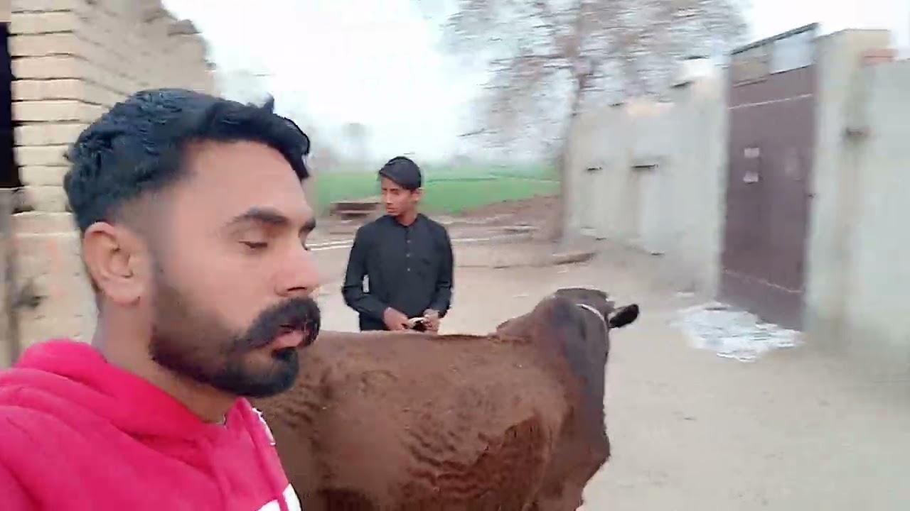 Janwar dekho#vlogsvideo #comedy#viral video