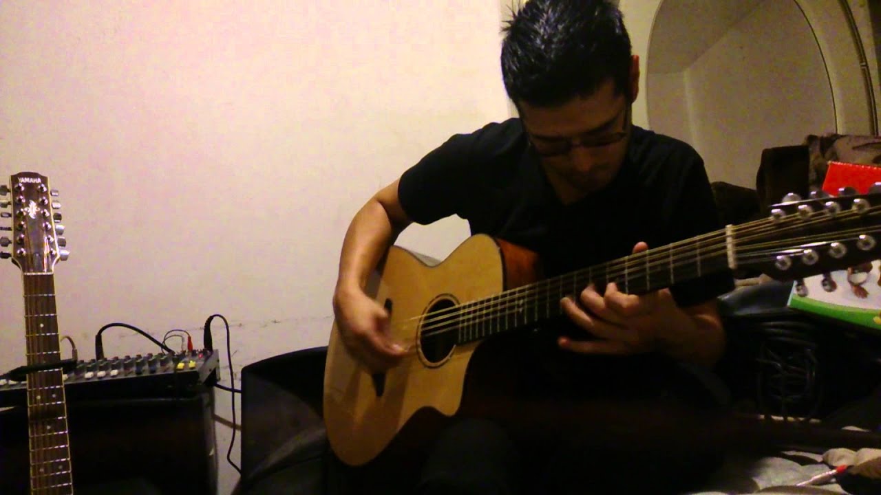 Breedlove Studio C250/Sm-12 y Yamaha APX700-12