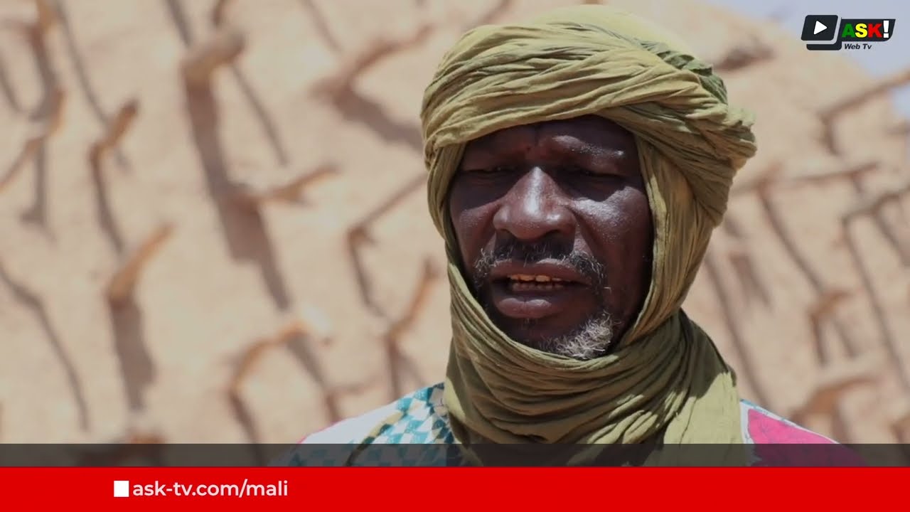 Le tombeau des Askia : un voyage dans l’Histoire du Mali.