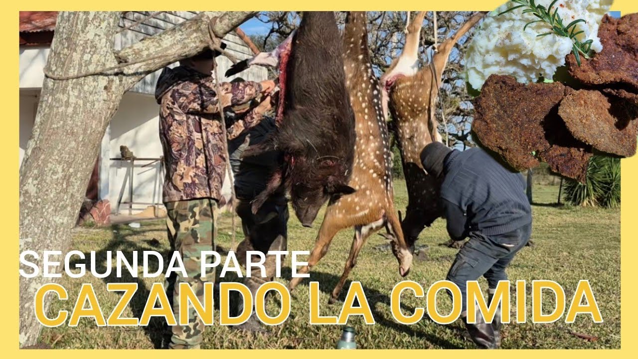 🎯 CAZANDO LA COMIDA!!  2  !!Caza de ciervos Axis y Chanchos Jabali  en corrientes Argentina ,