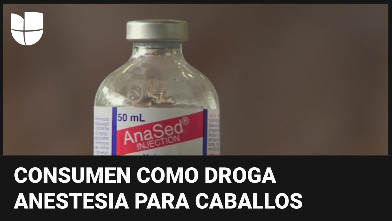 Xilacina o &lsquo;droga zombi&rsquo;: por qu&eacute; es tan peligrosa y por qu&eacute; EEUU la declara &ldquo;amenaza emergente&rdquo;