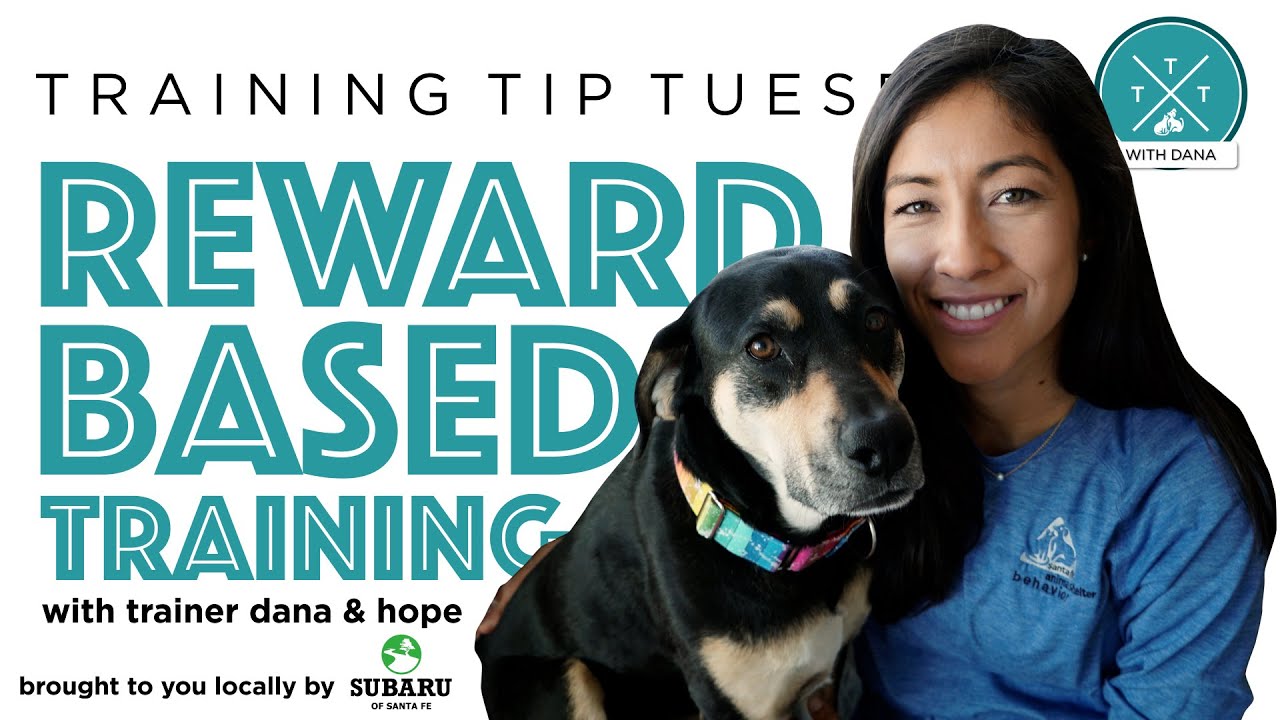 Training Tip Tuesday - Reward Based Training