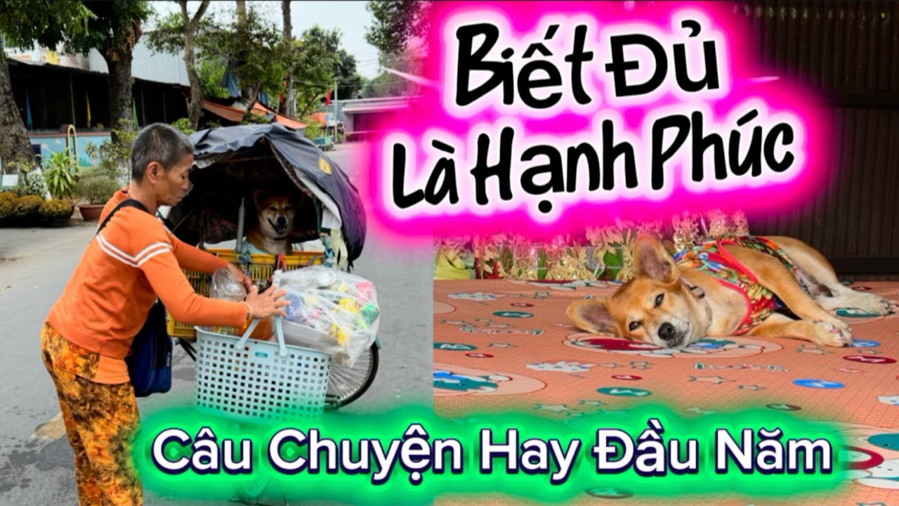 Hai mẹ con bé gấu lần đầu có cái tết ấm no không còn ngủ gầm cầu , đi nhặt đồ ăn thừa : Tập 305
