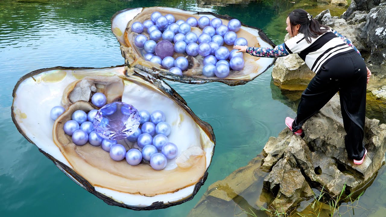 😱😱Giant clams in the deep pool nurture high-quality and precious colored pearls, so charming