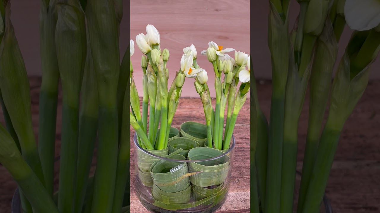 Spring vase hack