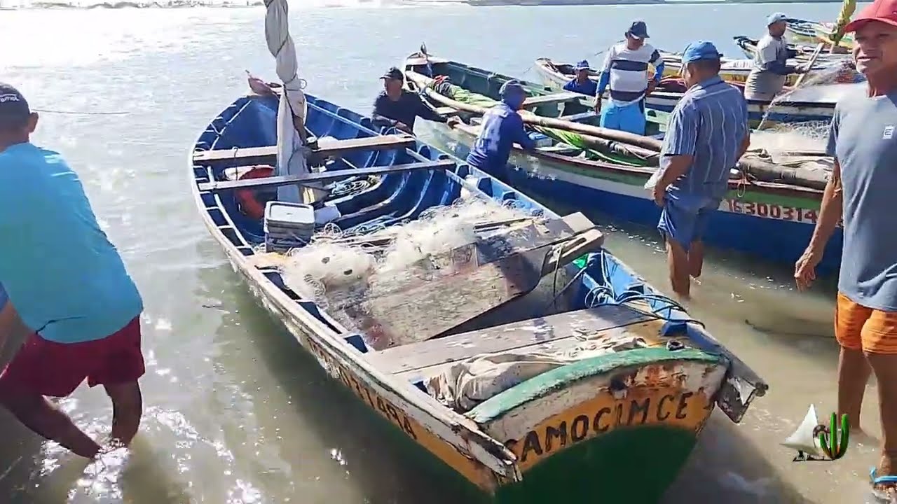 Julho de 2025 - Camocim Ceará Brasil e a chegada dos pescadores do mar #pescaria #nordeste #brazil