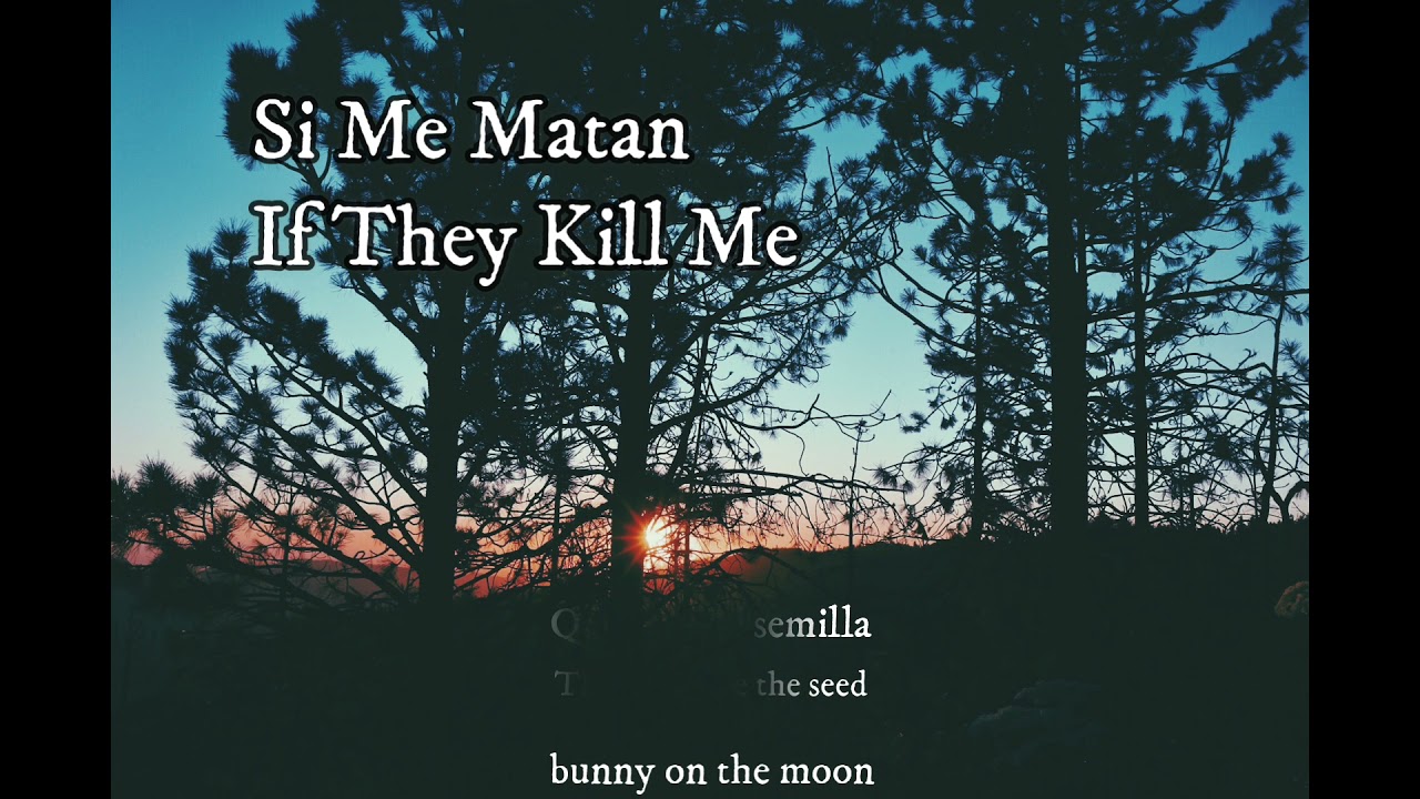 Si Me Matan - Silvana Estrada (Lyrics Esp & Eng)