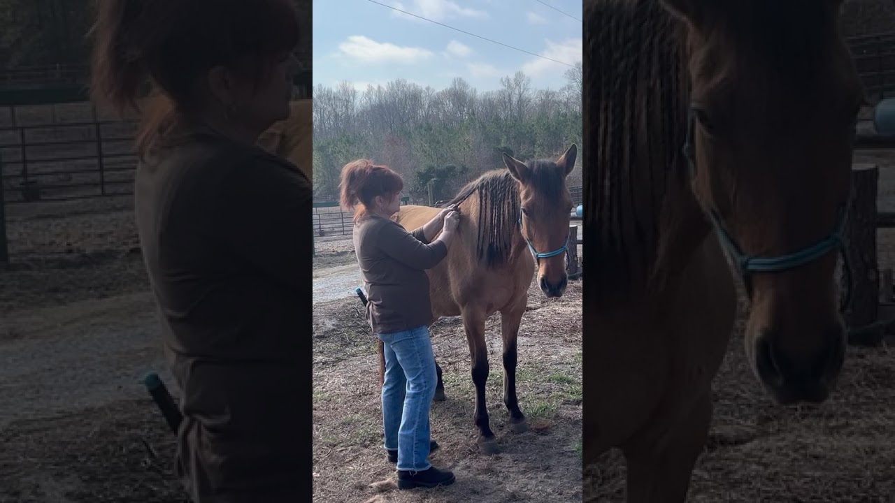 Equine days always hit different—braiding Honey’s hair is such a calm, soulful experience