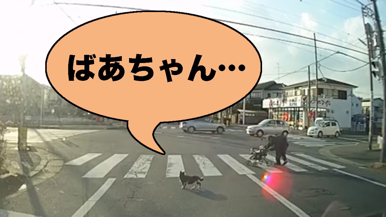 ドライブレコーダーに感動の優しいニャンコが映る！横断歩道を渡るおばあちゃんを気遣う猫がかわいい