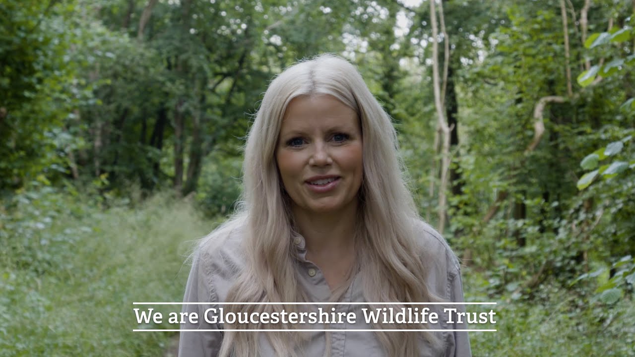 We are Gloucestershire Wildlife Trust