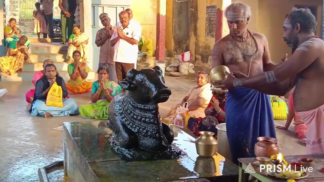 30  / 1 / 2026 பிரதோஷம் முன்னிட்டு வல்லம் ஸ்ரீ வஜ்ஜிரேஸ்வரர்  ஆலயத்திலிருந்து நேரலை