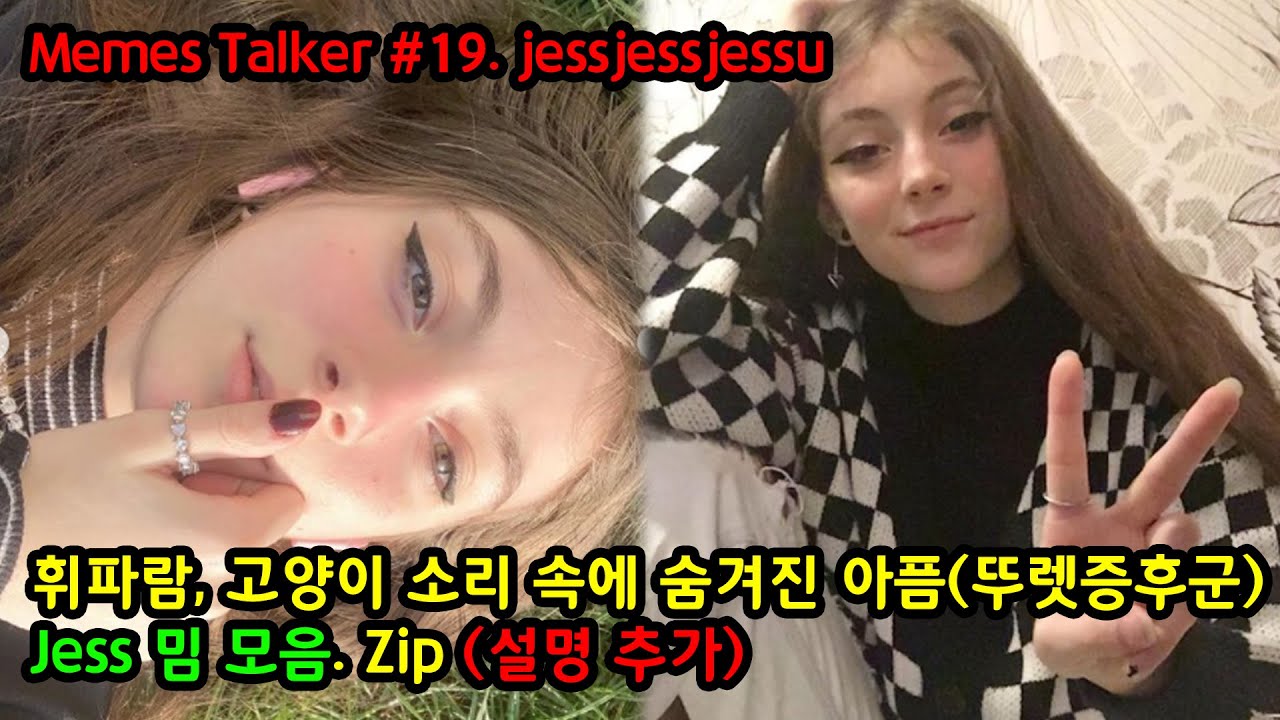 #19. 휘파람, 고양이 소리 속에 숨겨진 아픔(뚜렛증후군) Jess 밈 모음.Zip(설명추가)