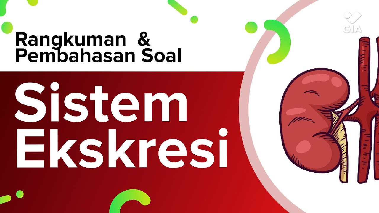 BIOLOGI Kelas 11 - Sistem Ekskresi - Rangkuman dan Pembahasan Soal | GIA Academy