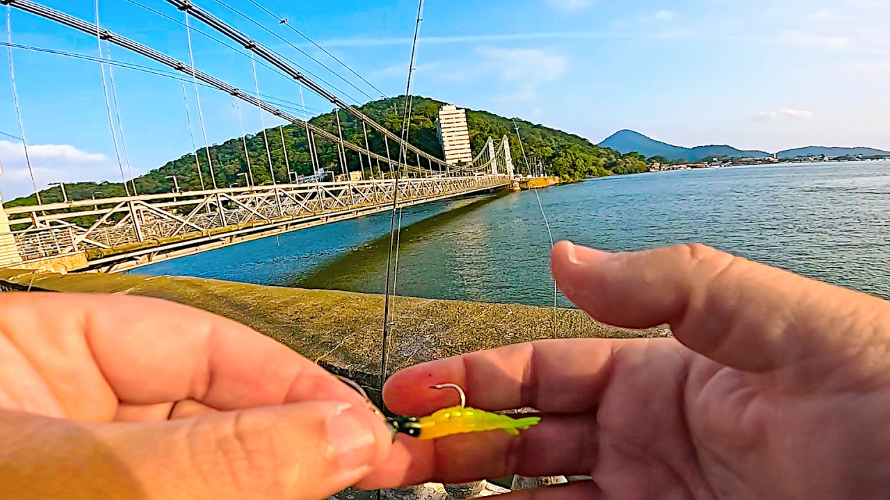 PESCARIA na RUA JAPÃO e na NA PONTE PÊNSIL, em SÃO VICENTE! E ainda depois fui pra SANTOS!