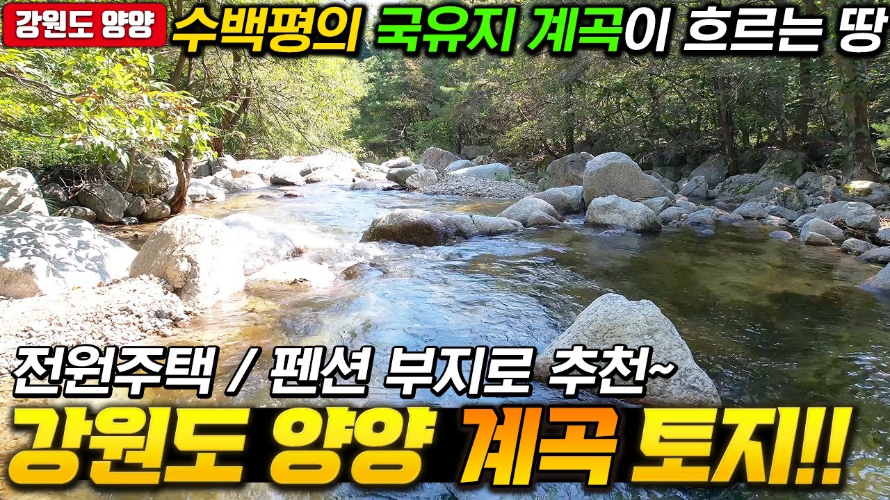 앞에 계곡이 다 내꺼~ 수백평의 국유지 계곡이 흐르는 땅! 강원도 양양 계곡토지
