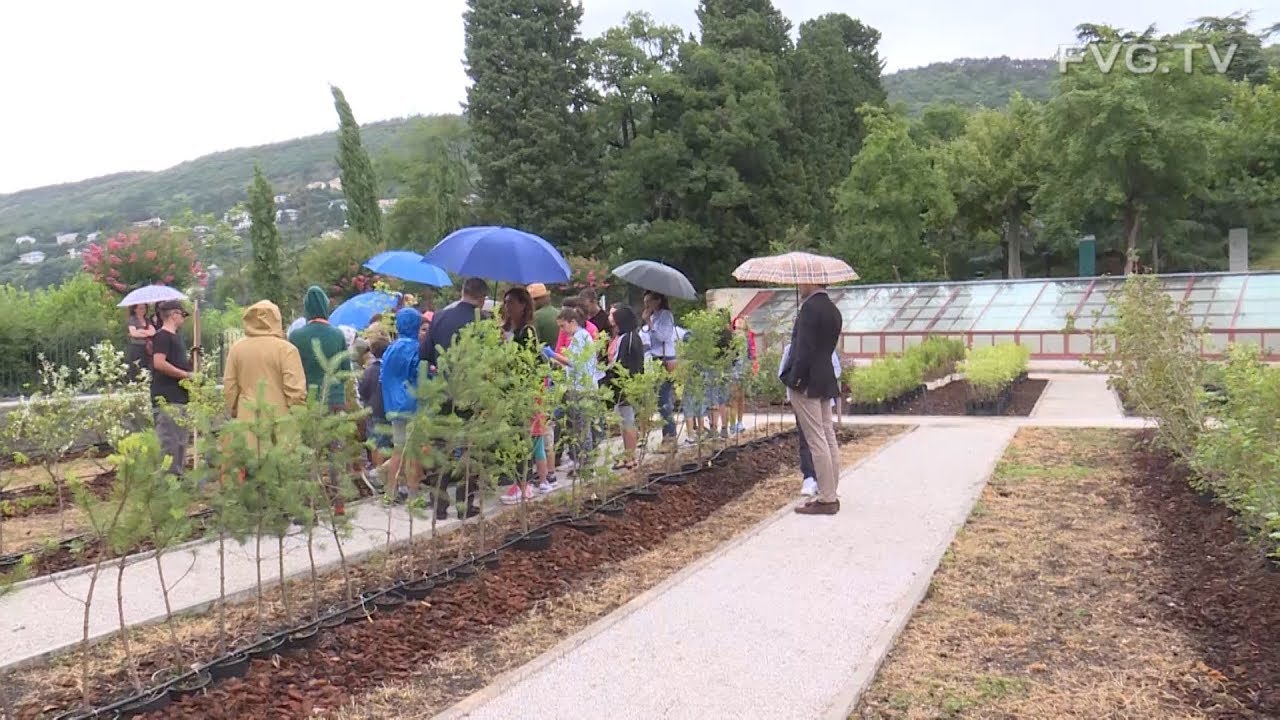 Ambiente: Zannier, implementare e mantenere bellezza Parco Miramare