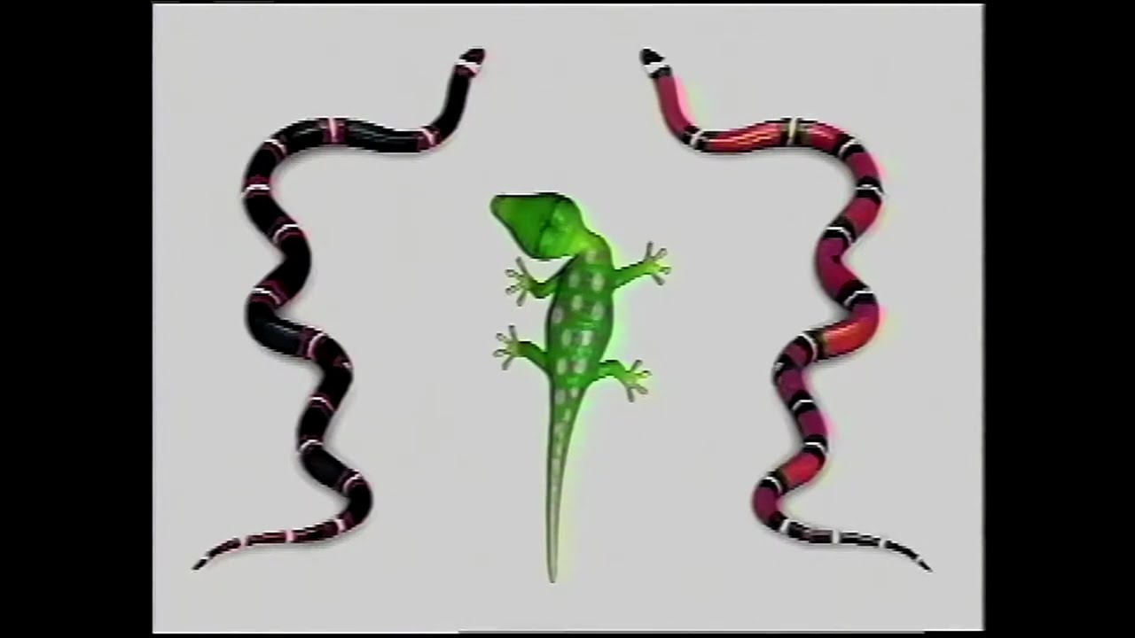 Henry's Amazing Animals Season 1 Episode 12 Poisonous animals July 2, 1996