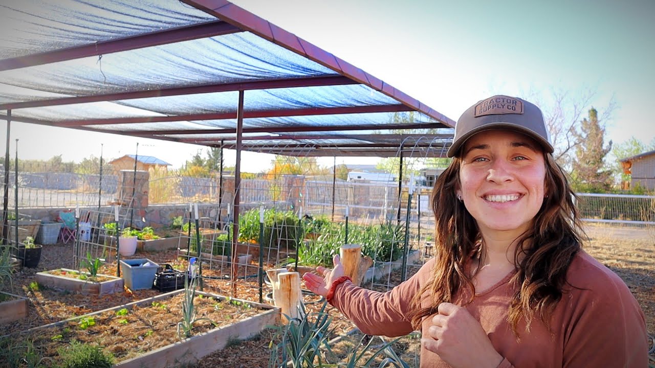 A Wandering Garden Chat ( Unofficial Spring Garden Tour)