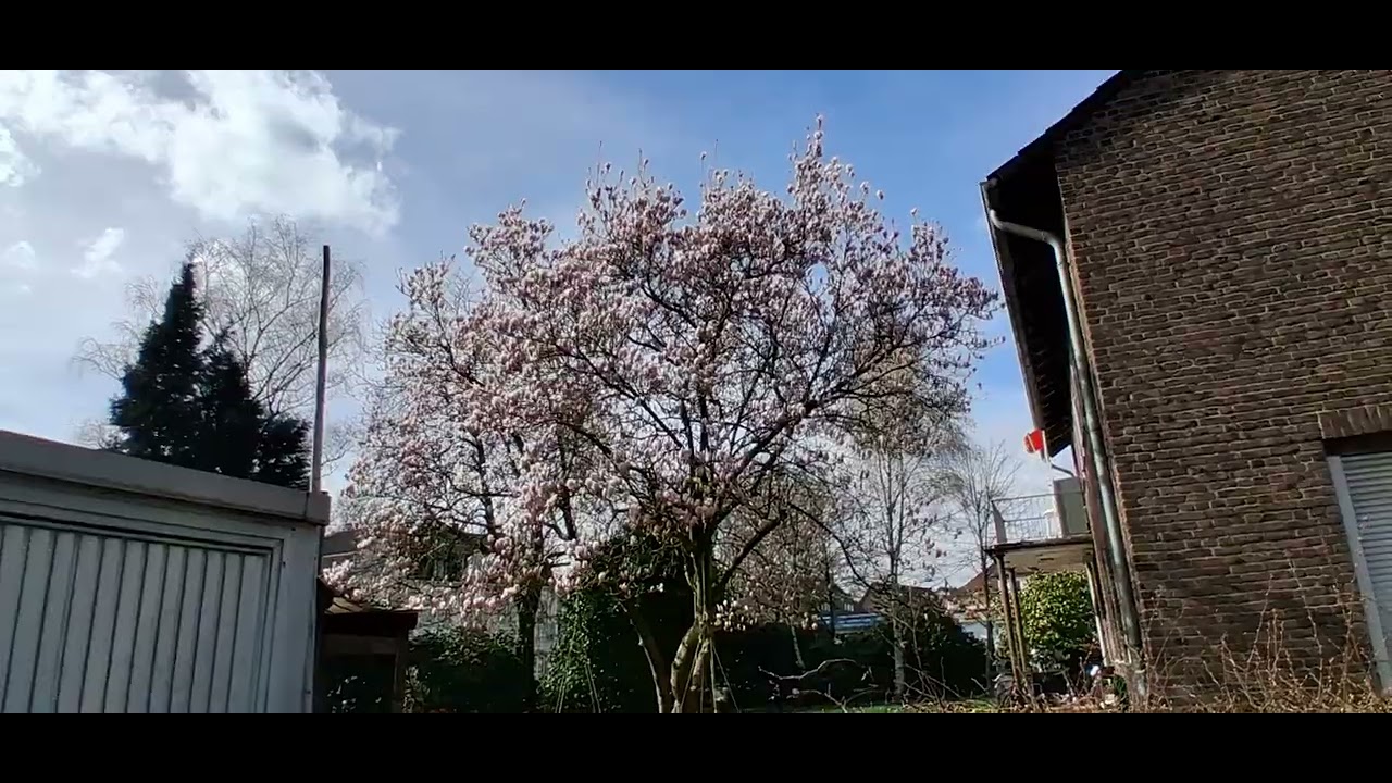 Frühling 2026 in Essen Bedingrade 
