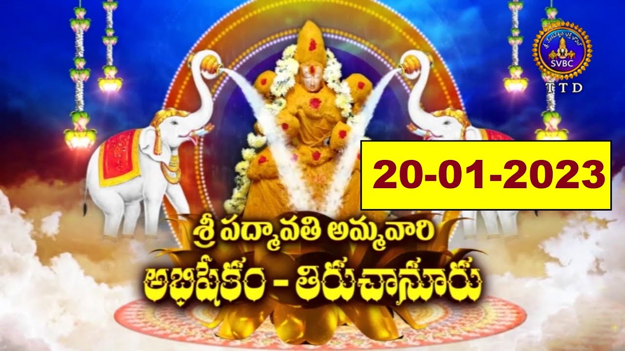 Sri Padmavathi Ammavari Abhishekam || Tiruchanoor  || 20-01-2023 || SVBC TTD