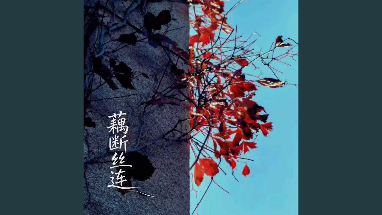 藕断丝连 (熊莲芬演唱会现场版)