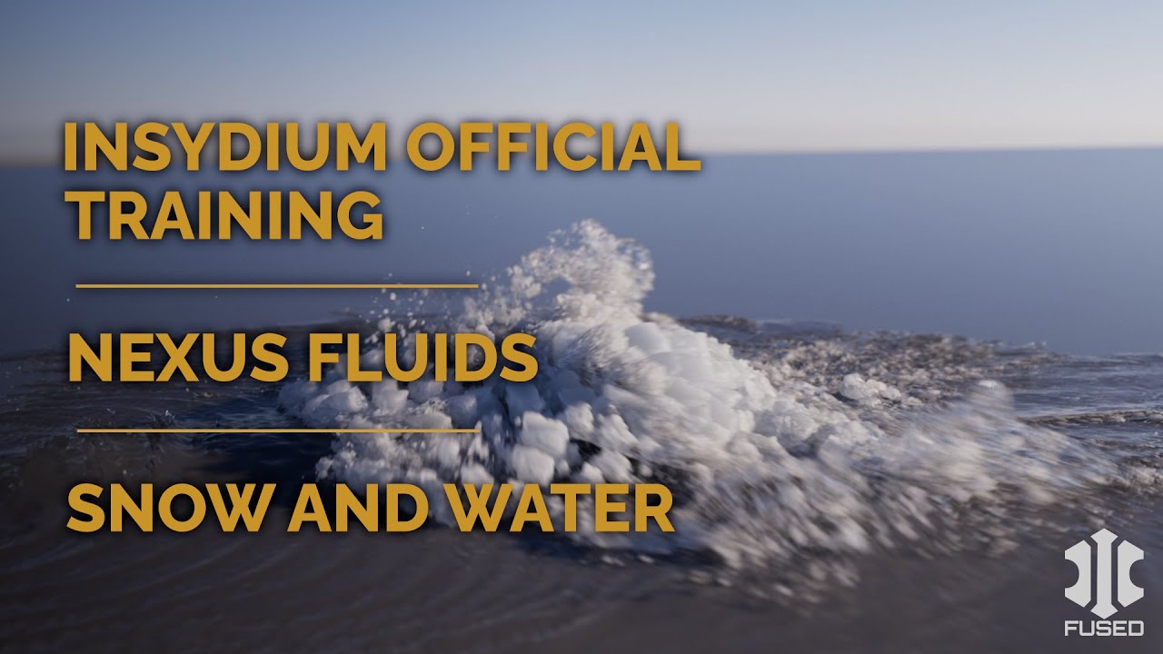 INSYDIUM Training - Snow and Water
