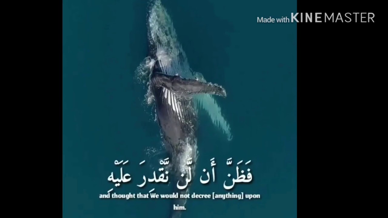 MIRACLE D&rsquo;ALLAH..... HD