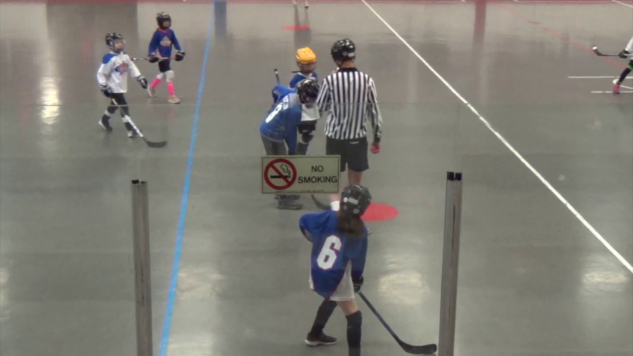 Metro Minor Ball Hockey Pup Division - May 18, 2019