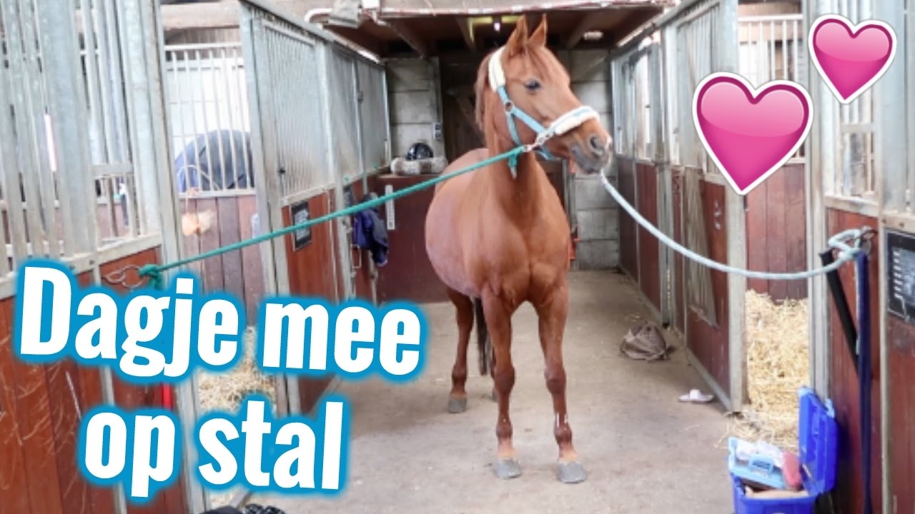VLOG #36- Dagje mee op mijn nieuwe stal | LeanneAbigail