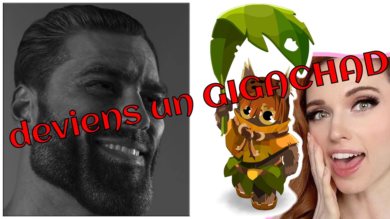TUTORIEL ULTIME KIMBO DOFUS RETRO  (schema + pratique)