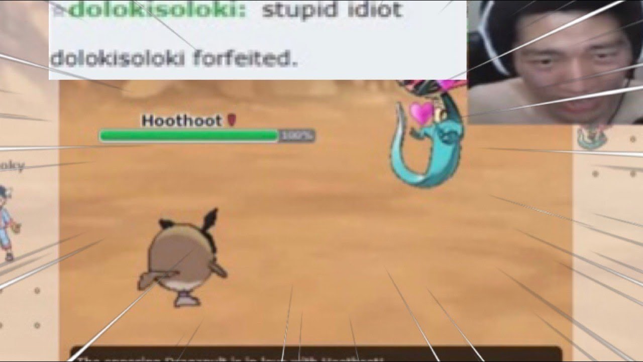 SASH HOOTHOOT stops NOOBS from SWEEPING + SALT