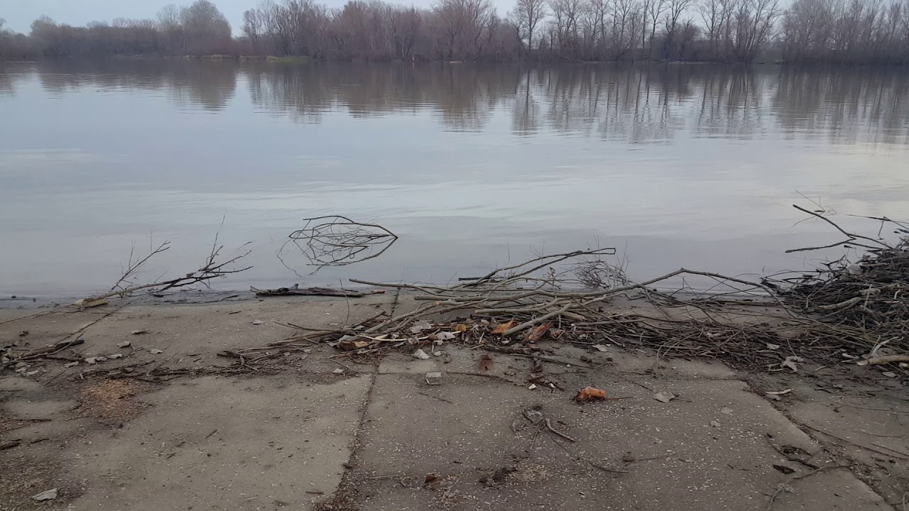 Reka Tisa - River Tisa -  20180105 154747