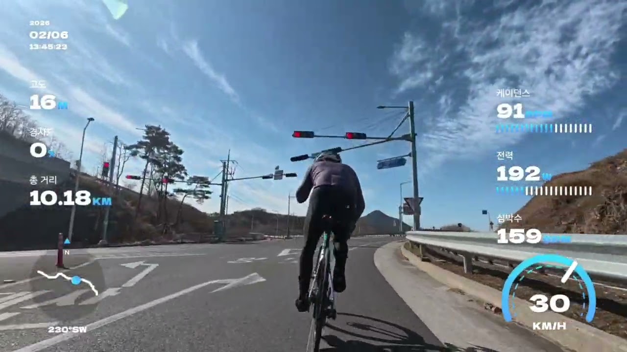 홍가리비,sson