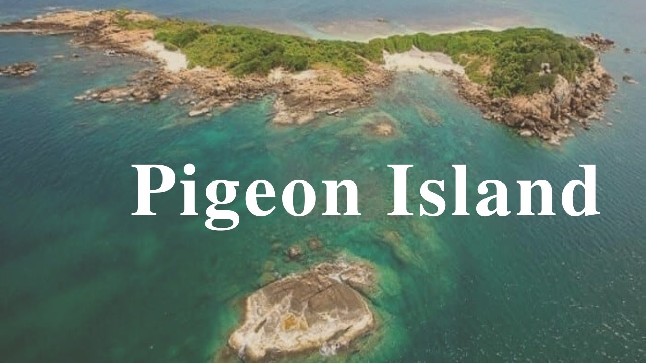 Pigeon Island Sri Lanka | Pigeon Island National Park | Visit Sri Lanka | Travel | lonely Island