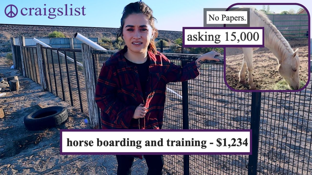 CRAIGSLIST HORSE ADS