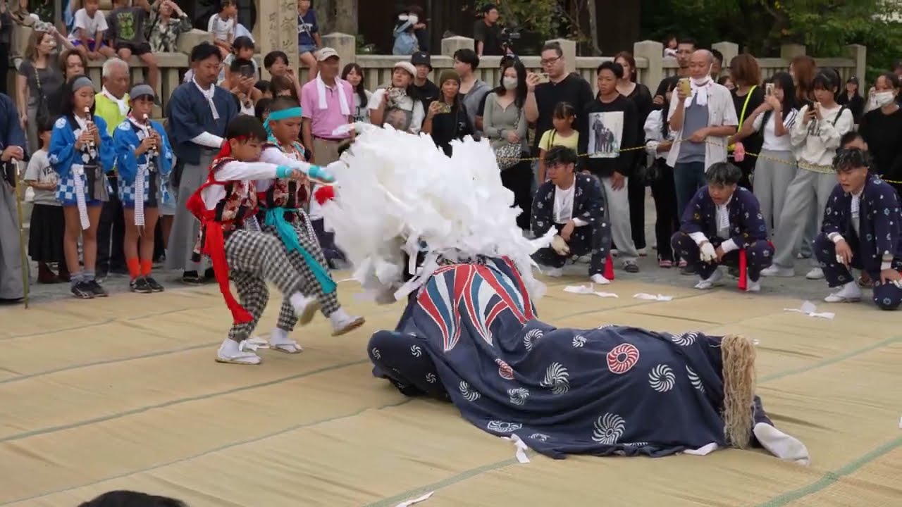 御崎の獅子舞 (宮, 途中からちょこっと) 2025/10/12(日),  兵庫県赤穂市