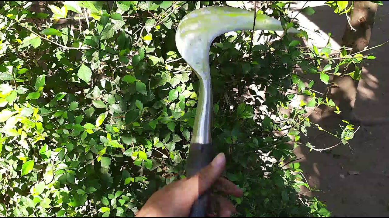 Arit Sabit rumput baja per Super Tajam