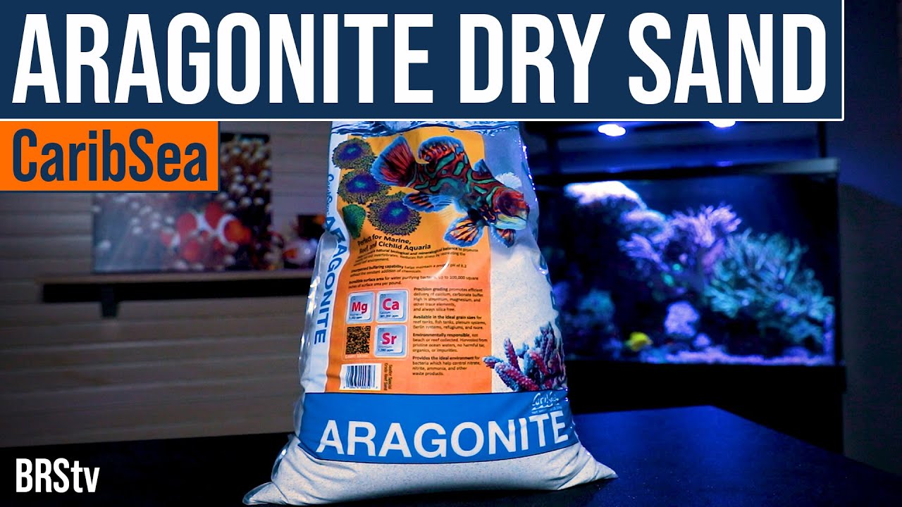 Why Choose Dry Sand for Your Saltwater Aquarium Sand Bed? CaribSea's Special Grade Dry Sand