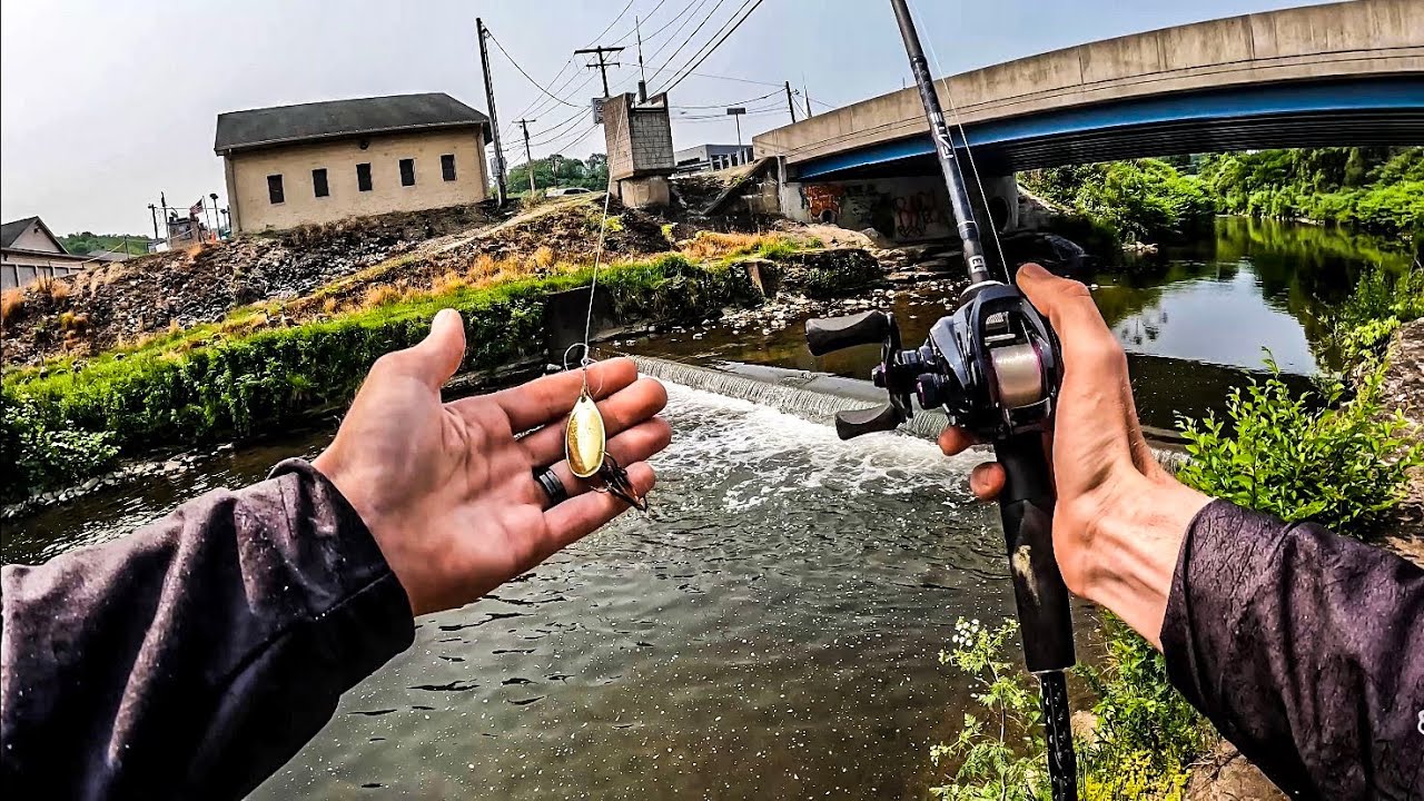 Creek Fishing With Mepps Spinners