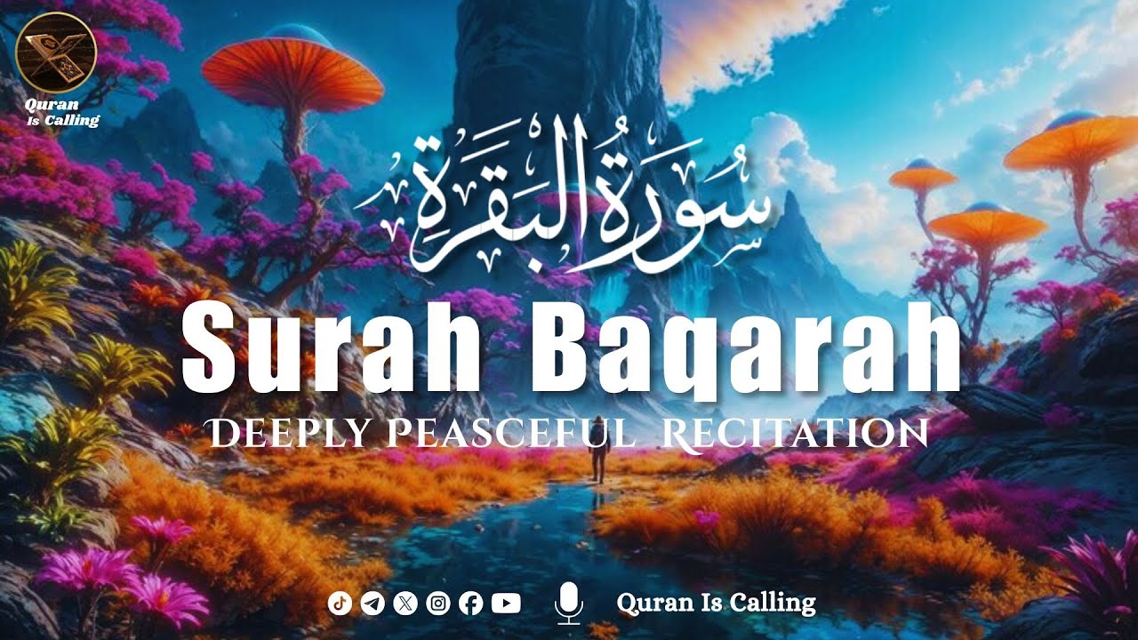 🌙 Surah Baqarah (سورة البقرة) | The Heart of the Quran | Calm & Soul Healing Recitation