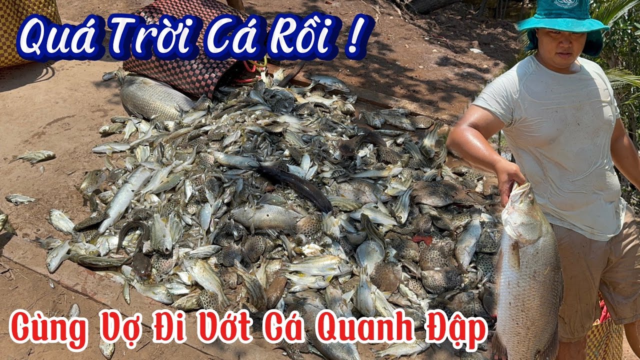Xã Cạn Nước Trong Đập + Đánh Thuốc Và Bắt Cá - Cùng Vợ Bơi Xuồng Quanh Đập Để Vớt Cá