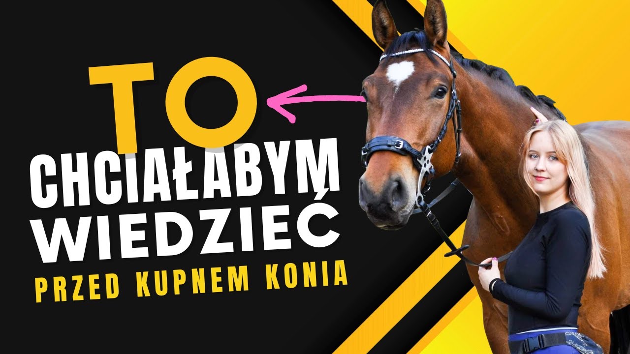 🔴 O TYM SIĘ NIE MÓWI | Obejrzyj zanim kupisz konia