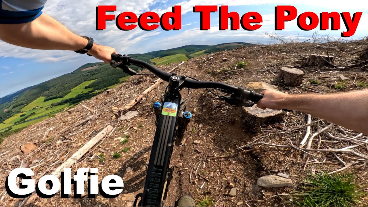 Feed The Pony - Golfie - Walkerburn 2025