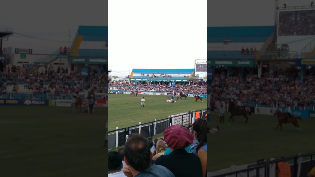 festival jesus maria 2023