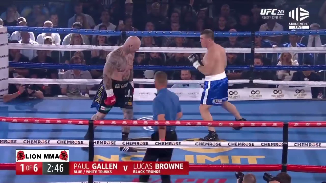 Prospect Paul Gallen destroyed Former World Champion Lucas Browne in 1round!