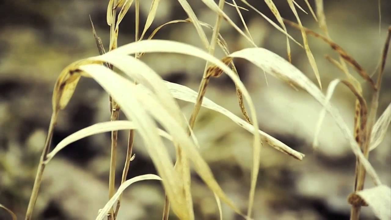 Terry Da Libra Feat. Catherine - Find Your Way Home (LTN Remix) [Music Video]